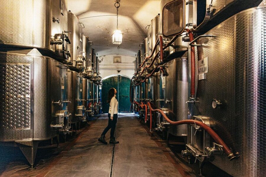 From Florence: Chianti Wine and Food Tasting Safari - Who should book this Chianti safari, and who should skip it