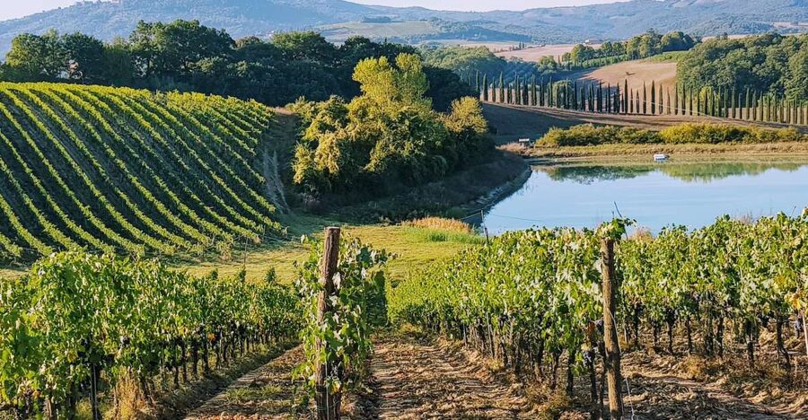 From Florence: Chianti Wine Tastings at Sunset Day Trip - Key Things I’d Put On Your Radar