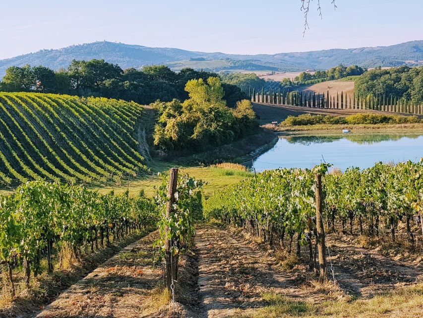 From Florence: Chianti Wine Tastings at Sunset Day Trip - Florence to Chianti at Sunset: Why This Half-Day Works
