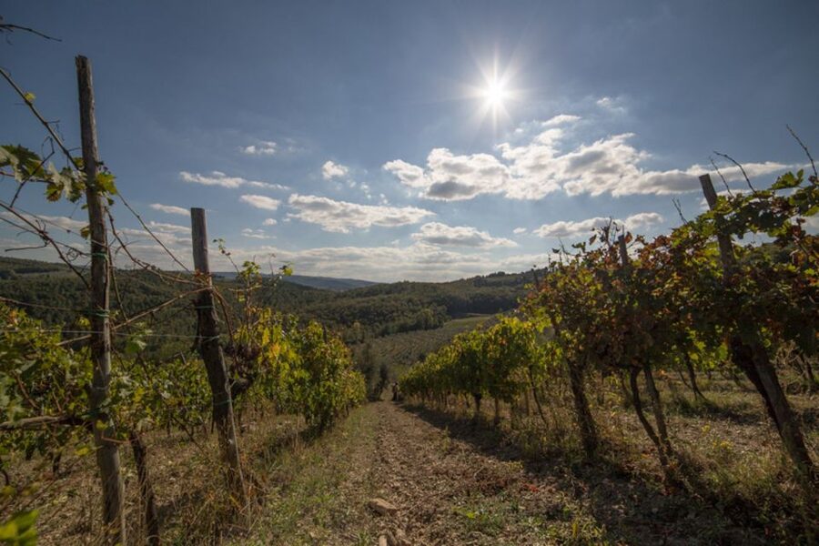 From Florence: Chianti Wine Tastings at Sunset Day Trip - The Photo Stops That Actually Matter: Greve, Montefioralle, Passignano