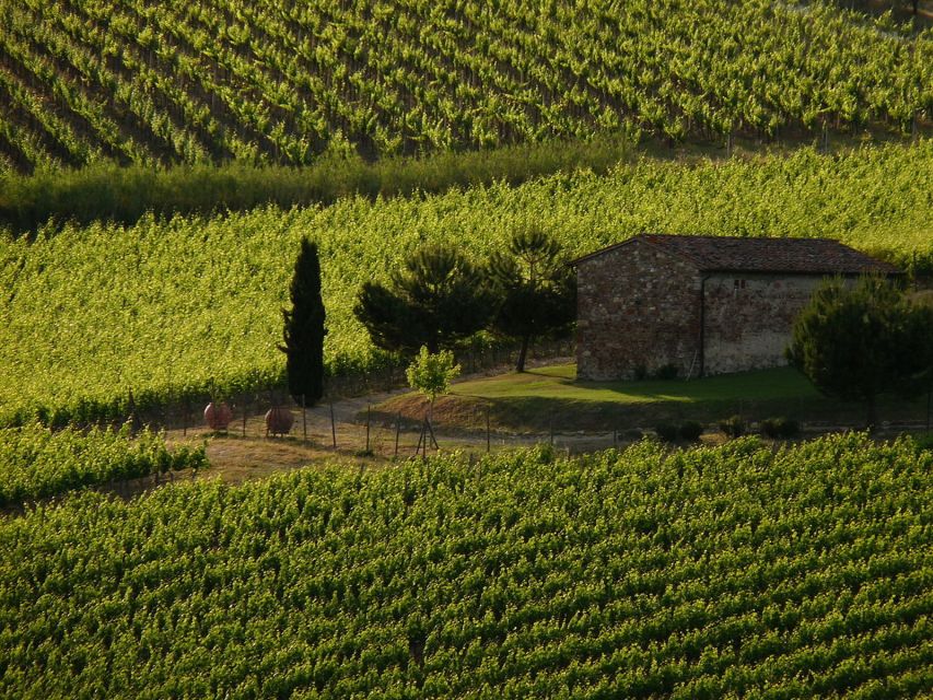 From Florence: Chianti Wine Tastings at Sunset Day Trip - Meeting at the National Library, Then Into a Comfy Ride