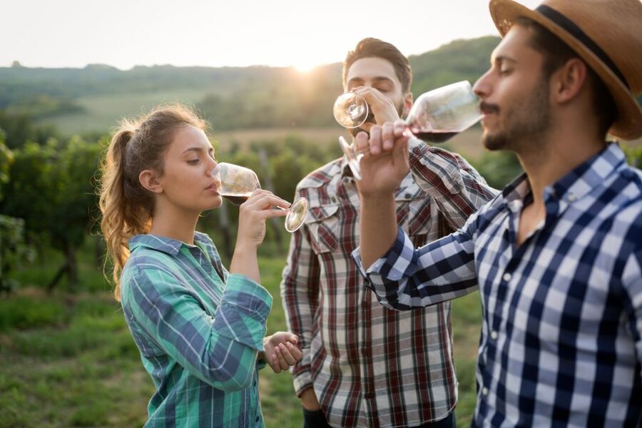 From Florence: Chianti Wine Tour with Tasting - Cellar Tours That Actually Teach You What You Are Drinking
