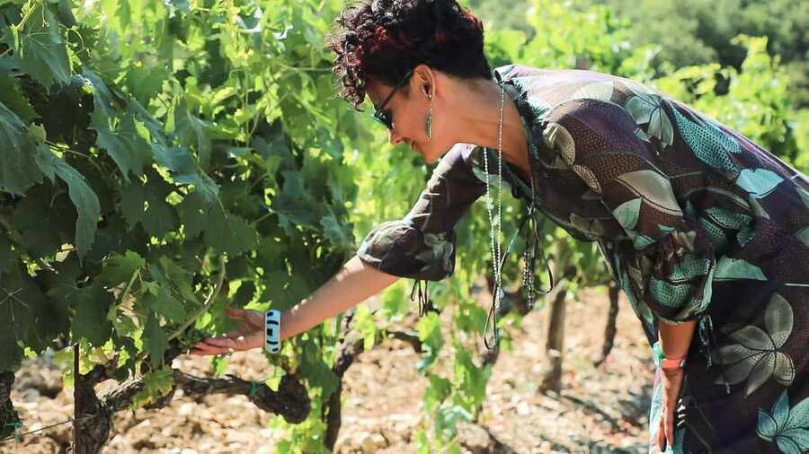 From Florence: Chianti Wine Tour with Tastings - Key Things To Know Before You Go