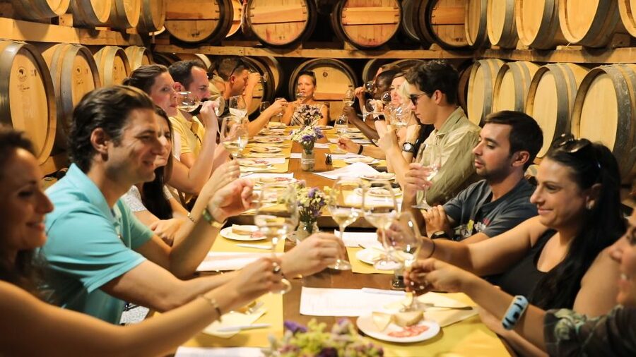 From Florence: Chianti Wine Tour with Tastings - Stop 1 at an Organic Winery Near Florentine Chianti Classico