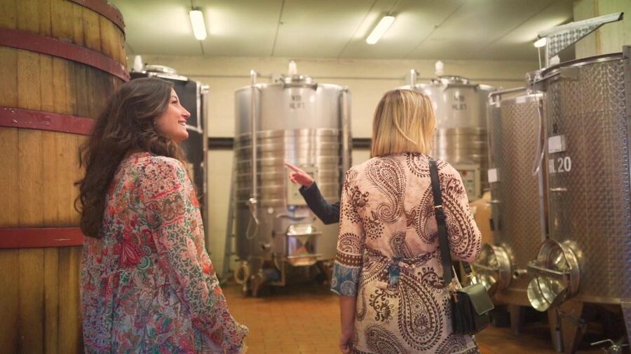 From Florence: Chianti Wine Tour with Tastings - Pecorino and Local Bites, Plus the Chance to Buy