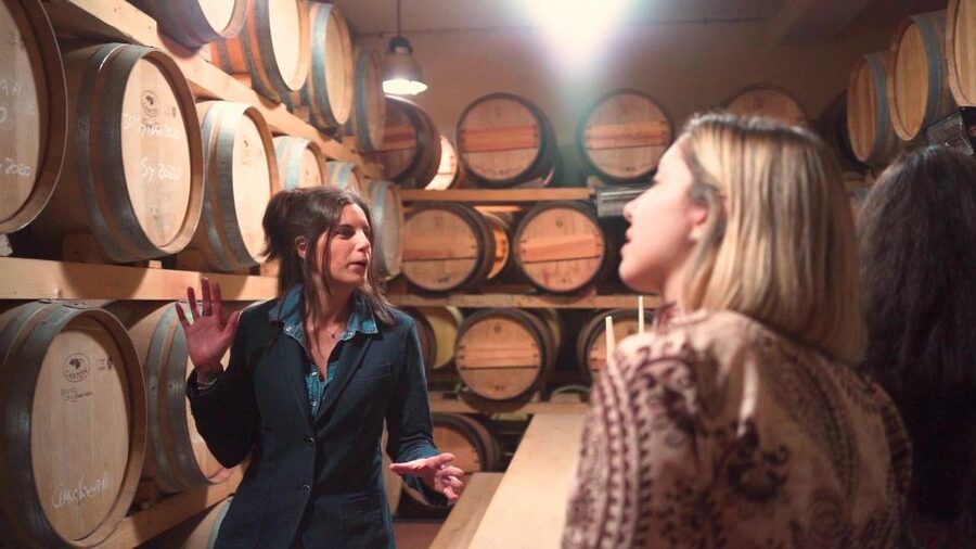 From Florence: Chianti Wine Tour with Tastings - How Much Time You Spend Tasting (And Why That Matters)