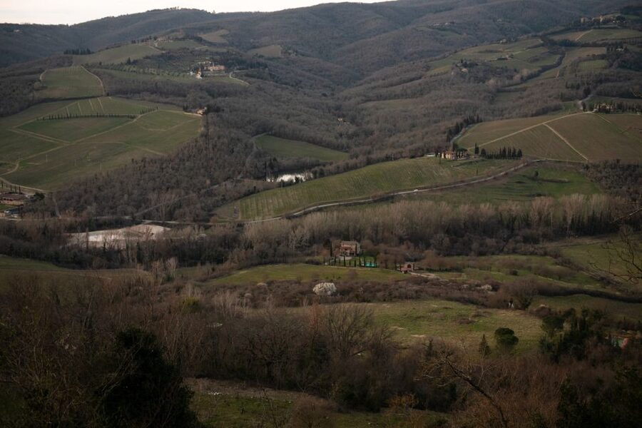 From Florence: Private Chianti Hills Tour with Tasting - Key things I’d highlight before you go