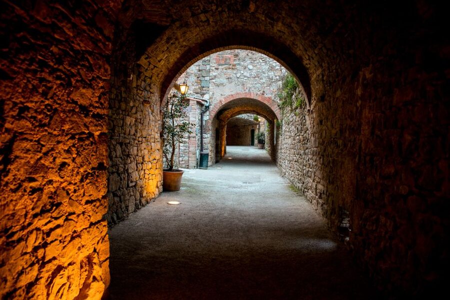 From Florence: Private Chianti Hills Tour with Tasting - The winery visit in the Chianti hills: tour, two-step tastings, and slow food pairings