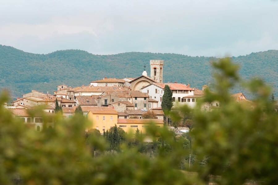 From Florence: Private Chianti Hills Tour with Tasting - What the wine tasting experience teaches you, without getting snobby