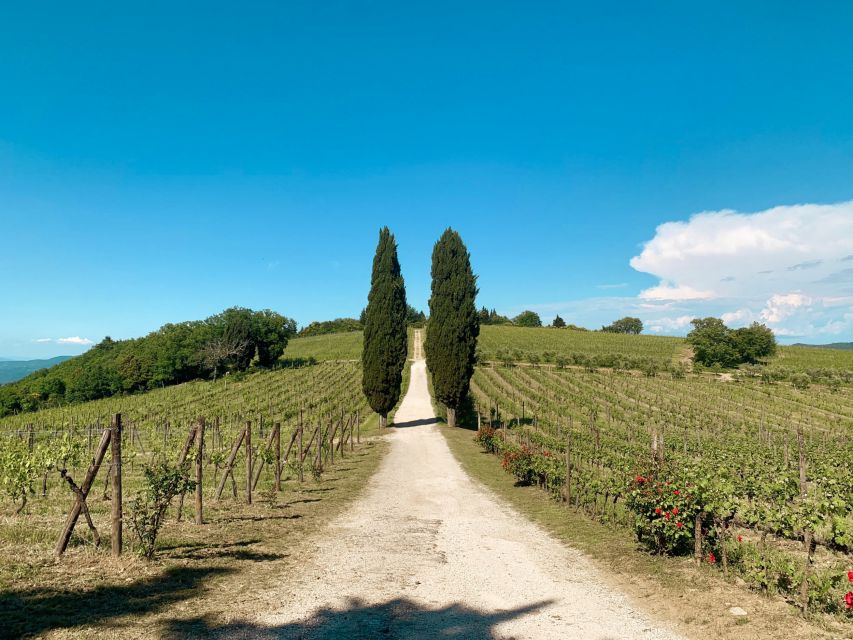From Florence: Private Chianti Hills Tour with Tasting - Food pairings: good, but don’t expect a full restaurant meal