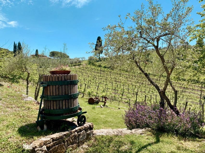 From Florence: Private Chianti Hills Tour with Tasting - Shopping at both stops: wine and olive oil, plus local extras