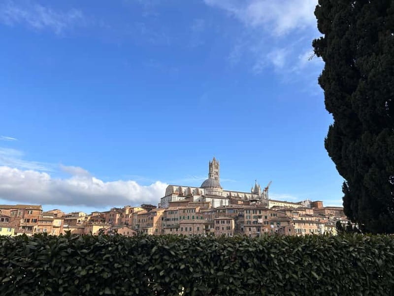 From Florence: San Gimignano, Siena, and Chianti Wine Tour - Chianti Estate Time: Vineyard and Cellars, Plus Five Tastings