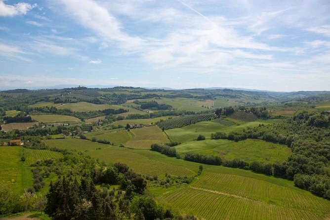 From Florence: Small-Group Tuscany Wine & Oil Tour with typical Tuscan Meal - How the wine flight works, and how to taste without getting overwhelmed
