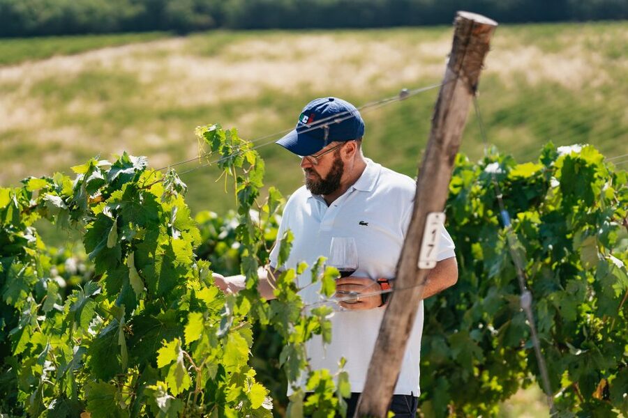 From Florence: Small Group Wine Tasting Tour to Tuscany - Your Half-Day Tuscany Reset: From Florence to Chianti Classico