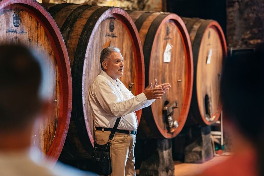 From Florence: Small Group Wine Tasting Tour to Tuscany - Winery stop one: tasting Sangiovese-style wines plus fresh olive oil