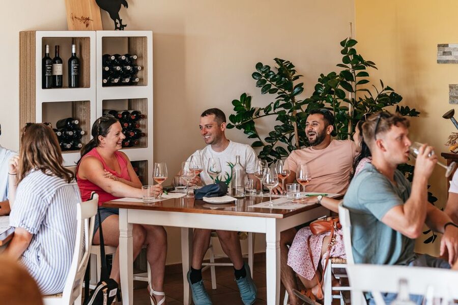 From Florence: Small Group Wine Tasting Tour to Tuscany - The small-group feel: why it changes the whole tasting experience