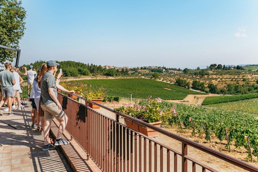 From Florence: Small Group Wine Tasting Tour to Tuscany - What you’ll taste: wine count, olive oil, and the food pairings