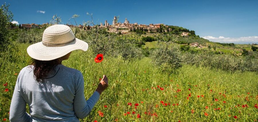 From Florence: Tuscany Highlights Full-Day Tour - Siena Guided Walk: Squares, Cathedral Area, and Coffee Time