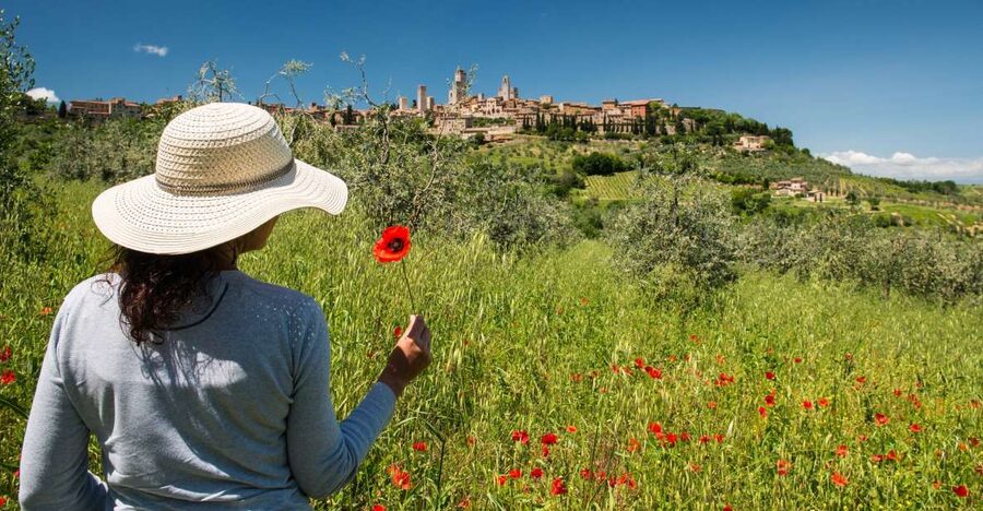 From Florence: Tuscany Highlights Full-Day Tour - Group Size, Pacing, and the Things That Matter on a 12-Hour Day