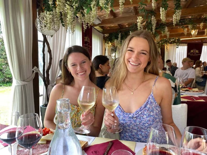 From Florence: Tuscany & San Gimignano Tour with 2 Tastings - Who this tour is best for