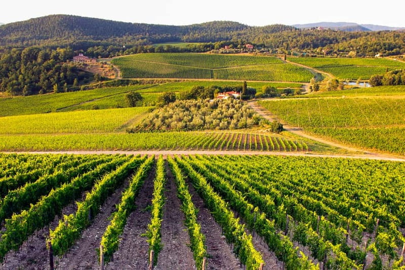 From Florence: Tuscany Wine & Food Tour with Guide - Second Estate and Lunch Pairing: Where the Day Tastes Most Like Tuscany