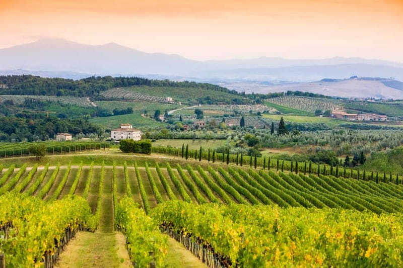 From Florence: Tuscany Wine & Food Tour with Guide - Food and Tastings: Olive Oil, Balsamic Vinegar, and What Sangiovese Teaches You