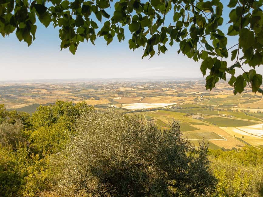From Florence: Val D'Orcia Tour with Wine Tasting - Montepulciano: Vino Nobile cellars and a New Moon moment