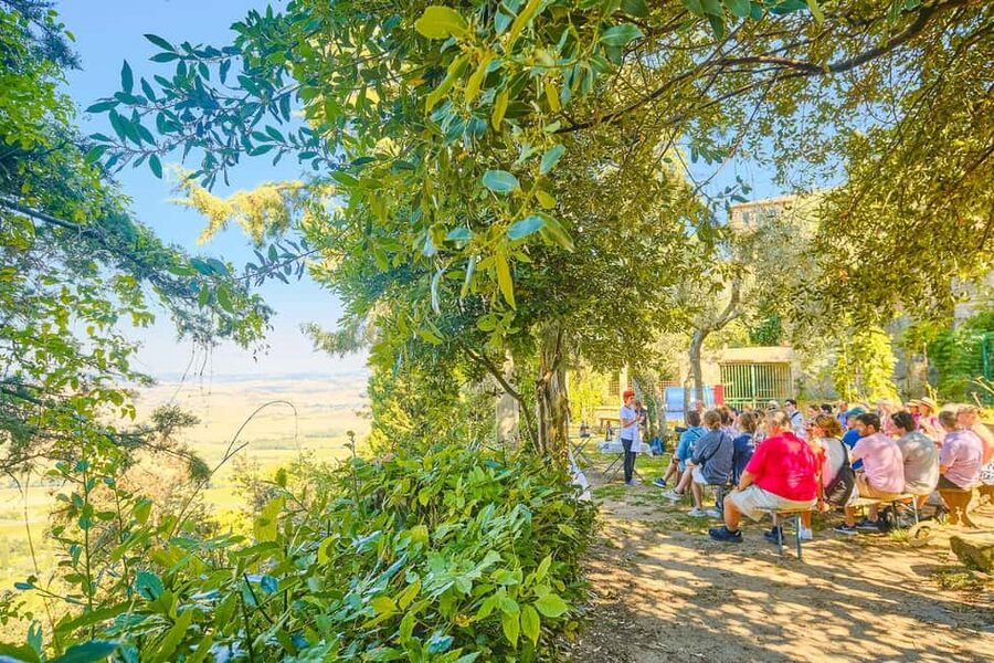 From Florence: Val D'Orcia Tour with Wine Tasting - The wine tastings and cheese: what you’re actually paying for