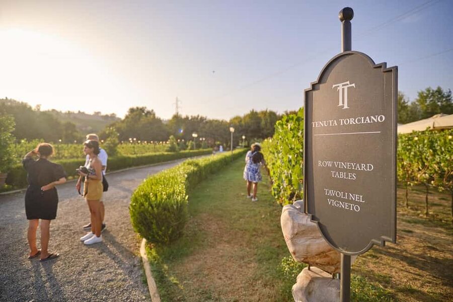 From Florence: Wine Tasting and Dinner in Chianti Vineyards - Chianti tastings plus Greve in Chianti: the town break that adds flavor to the day