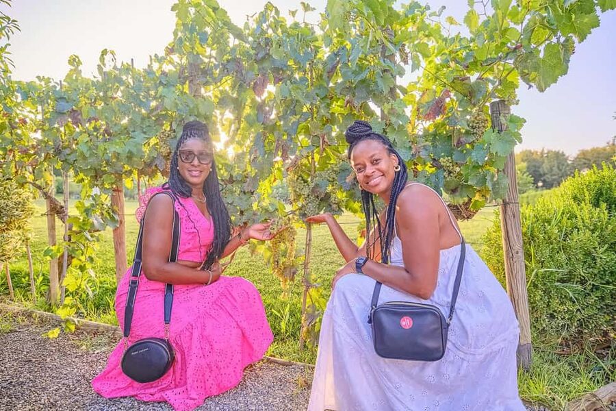 From Florence: Wine Tasting and Dinner in Chianti Vineyards - Should you book this Chianti wine tasting and dinner from Florence?