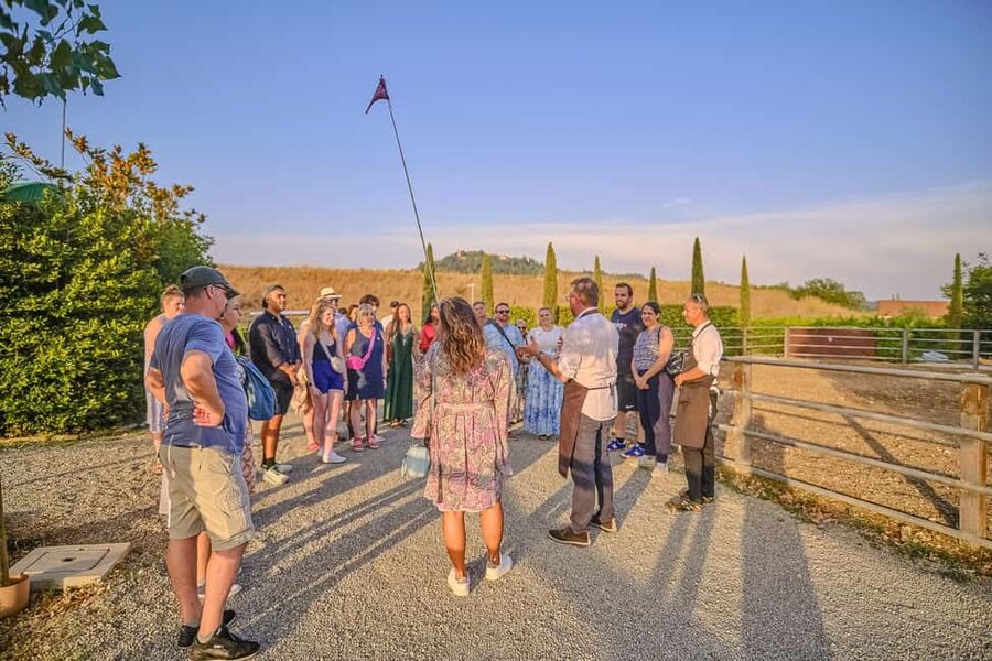 From Florence: Wine Tasting and Dinner in Chianti Vineyards - FAQ