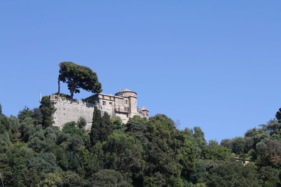From Genoa: Boat Tour to Portofino with Free Time to Explore - Lunch in Portofino: shopping, seafood, and the practical limits