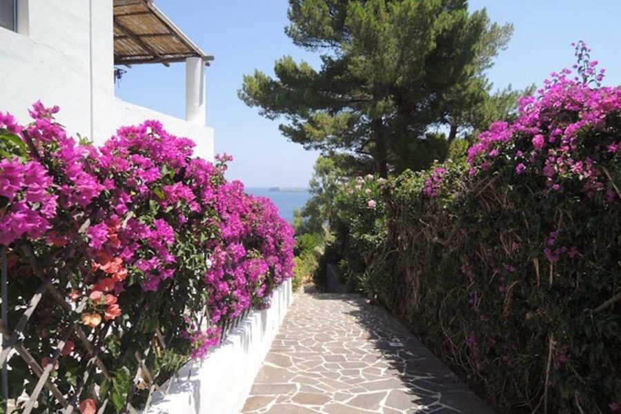 From Lipari: Panarea and Stromboli Cruise with Stops - Language and guidance: what Italian means for your day