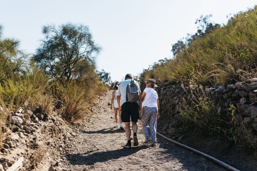 From Naples: All-Inclusive Mount Vesuvius Half-Day Tour - Toilets and What to Do With That Information