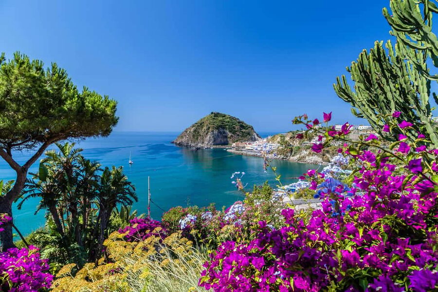 From Naples: Amalfi Coast Day Trip with Sorrento & Positano - Quick hit checklist (what stands out)