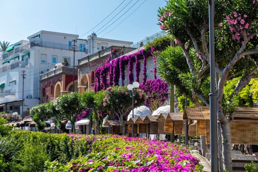 From Naples: Capri, Anacapri, and Blue Grotto Full-Day Trip - Guides make the difference: the names you will hear