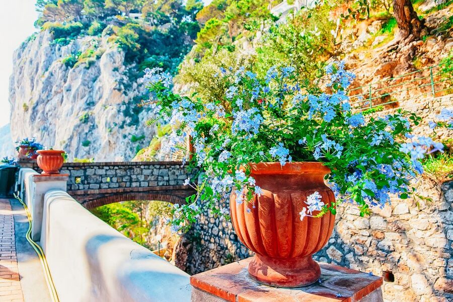 From Naples: Capri and Blue Grotto Day Tour - The fast ferry ride to Capri, and why seasick prep is smart
