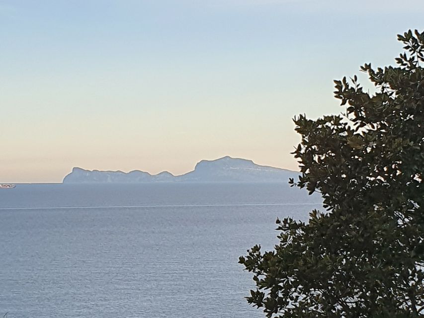 From Naples: Capri Day Trip with Lunch - Getting on the water: pickup, Terminus meeting point, and the hydrofoil ride