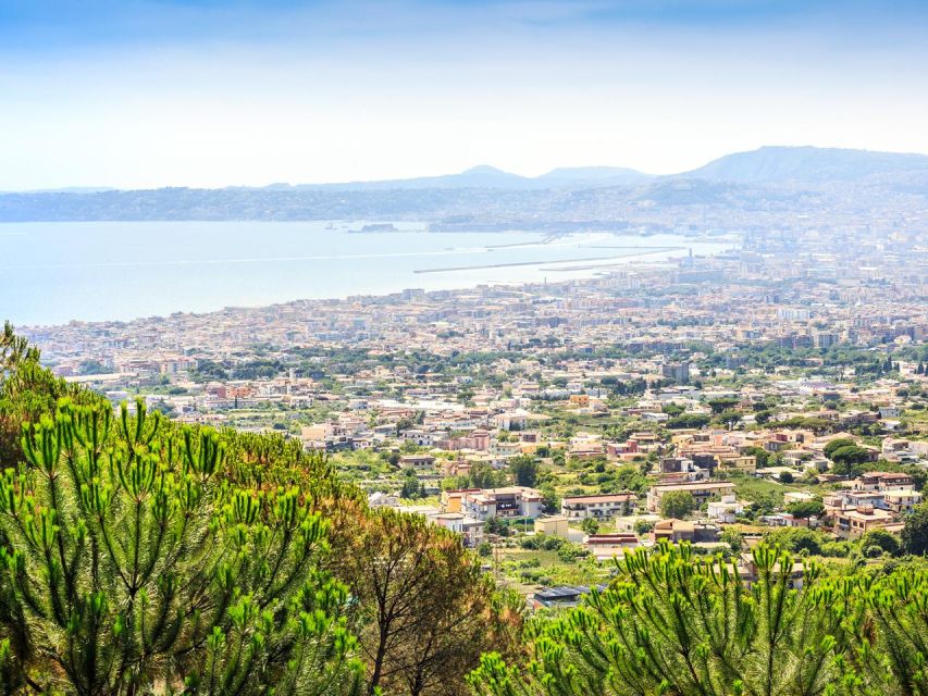 From Naples: Mount Vesuvius Transfer with Entry Tickets - Meeting point in Naples: Via Galileo Ferraris and the Around Vesuvio bus