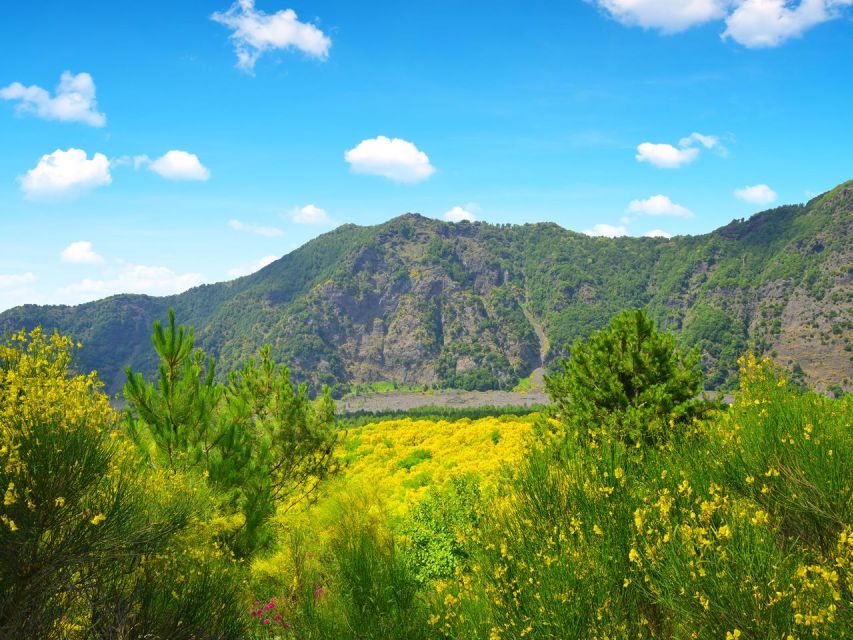 From Naples: Mount Vesuvius Transfer with Entry Tickets - The ride up: how the timing works and where you start hiking