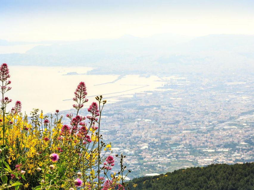 From Naples: Mount Vesuvius Transfer with Entry Tickets - Your crater time: what 1.5 hours on-site feels like