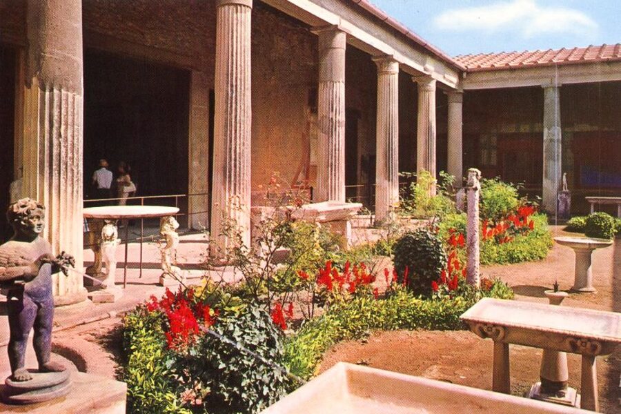 From Naples or Sorrento: Pompei Half-Day Tour - Your Free Time in the Archaeological Park