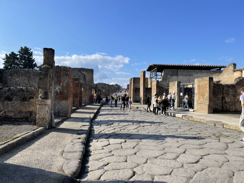 From Naples: Pompeii Guided Tour with Skip-the-Line Tickets - Quick Take: Skip-the-Line Pompeii With Naples Transport in 3.5 Hours