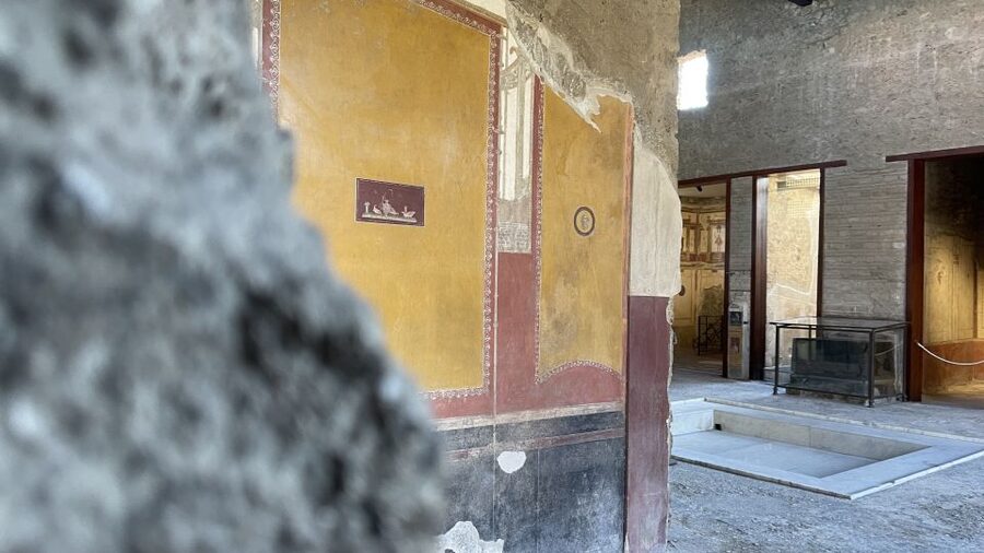 From Naples: Pompeii Guided Tour with Skip-the-Line Tickets - Skip-the-Line Tickets and a Separate Entrance: Why This Matters