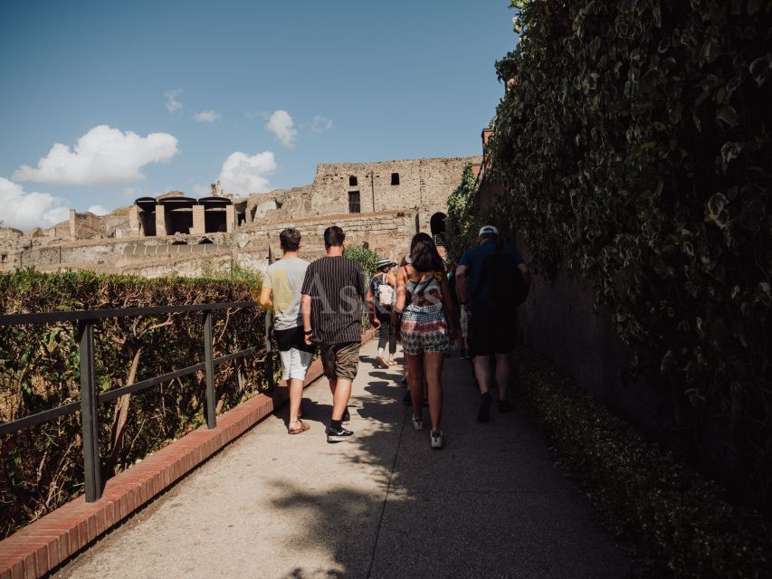 From Naples: Pompeii & Herculaneum with Archaeologist Guide - Meet at Starhotels Terminus, Then Roll Out in a Shared Minibus