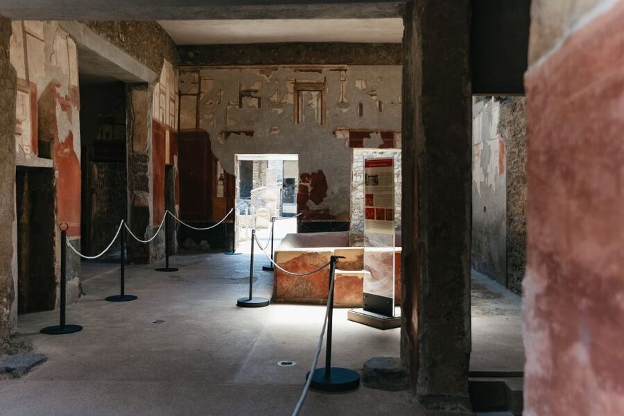 From Naples: Pompeii Ruins & Mount Vesuvius Day Tour - Mount Vesuvius walk: crater-edge photos and the rocky reality
