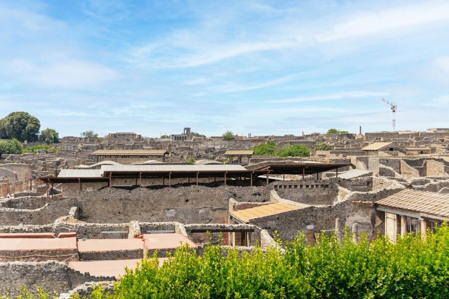 From Naples: Pompeii Ruins & Mount Vesuvius Day Tour - Value and what you get for the price