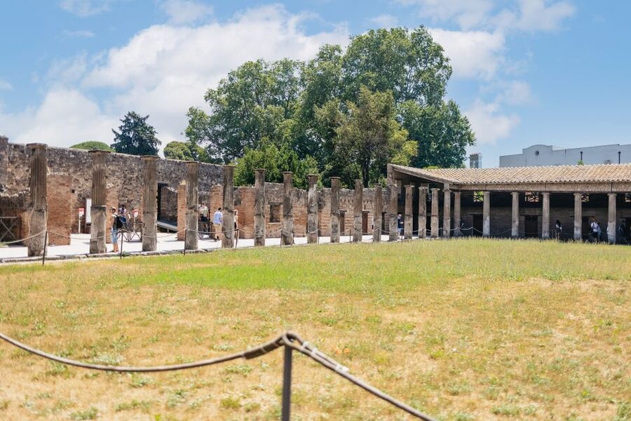From Naples: Pompeii Ruins & Mount Vesuvius Day Tour - Small snags to plan around: meeting points, language, and timing