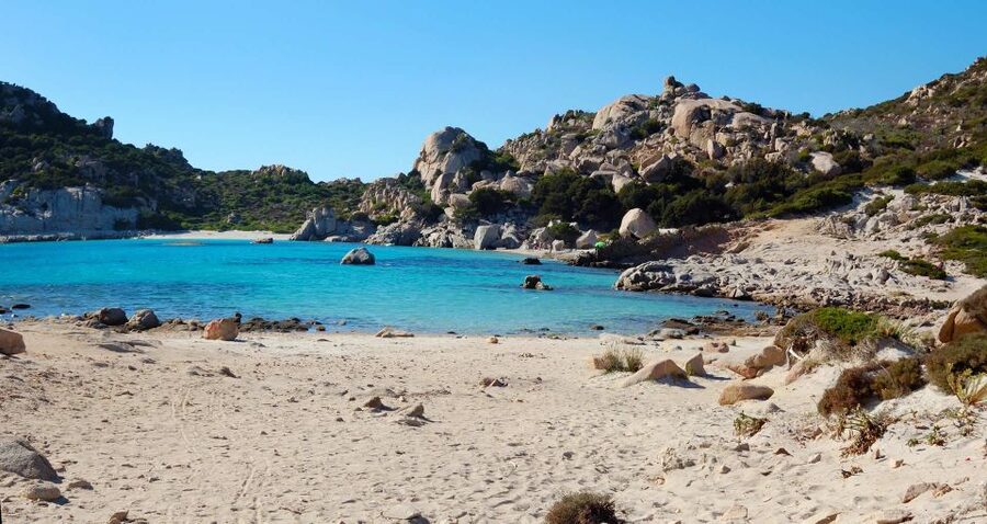 From Palau: La Maddalena Archipelago Boat Tour with Pasta - Key highlights to focus on