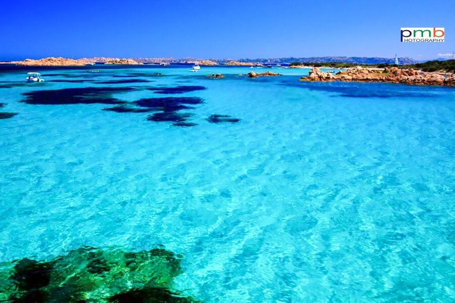From Palau: La Maddalena Archipelago Day Tour by Boat - Pink Beach at Rosa Beach: what you see, and why it is protected since 1993